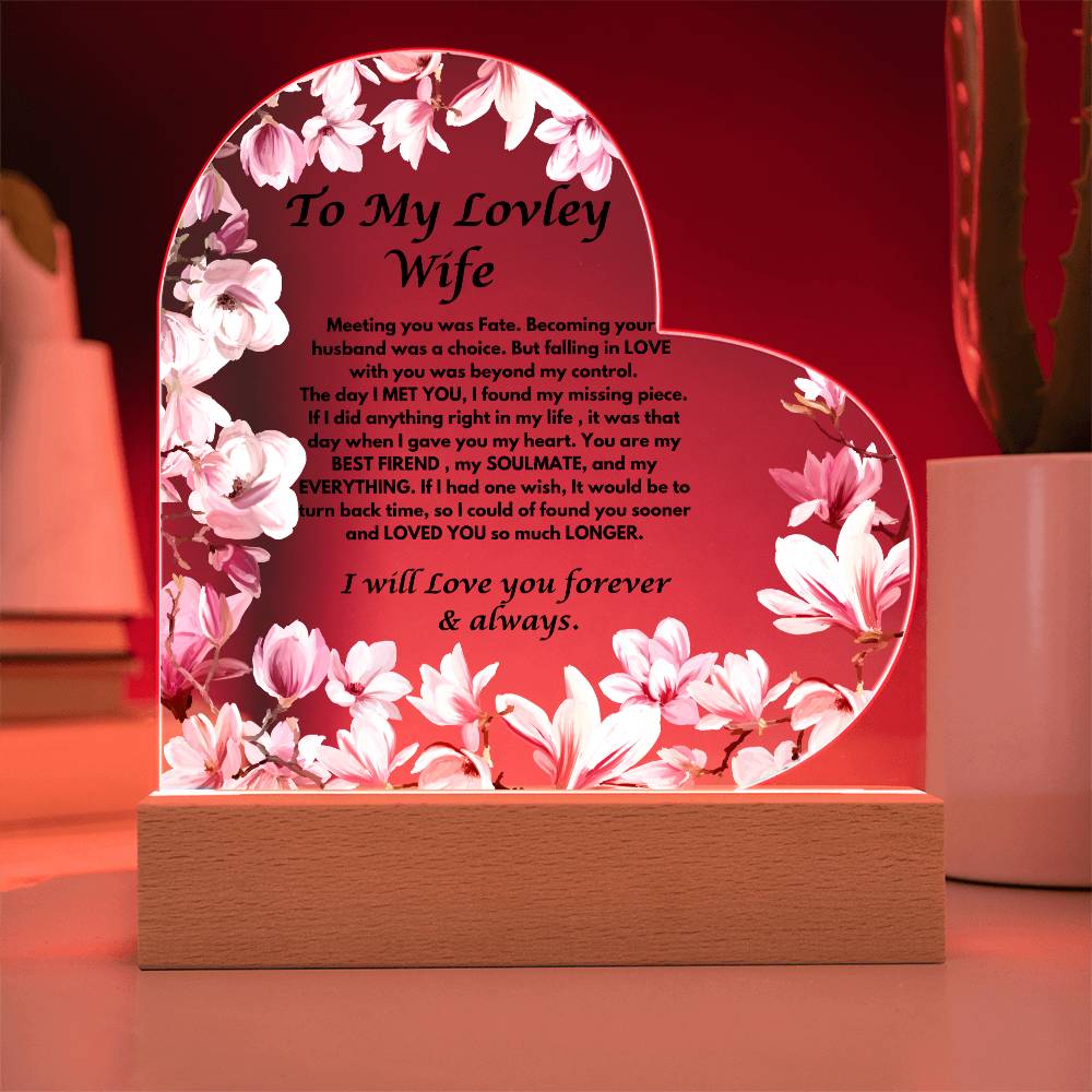 To My Wife Meeting You was Fate Acrylic Plaque Gift, Anniversary Gift, Birthday Gift, Valentines day Gift,Romantic Gesture, Forgive me gift.